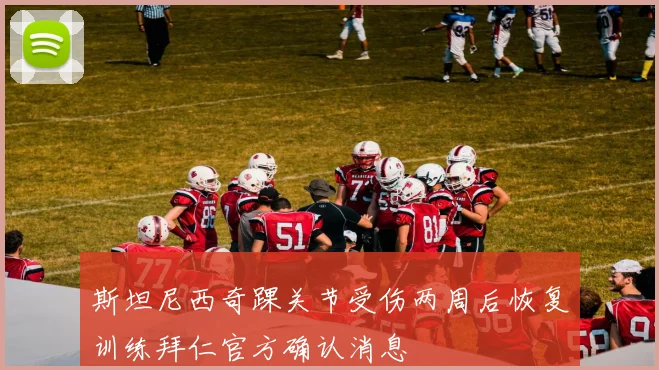 斯坦尼西奇踝关节受伤两周后恢复训练拜仁官方确认消息