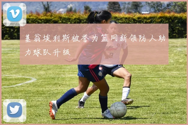 基翁埃利斯被誉为篮网新领防人助力球队升级