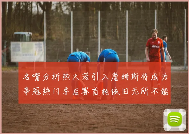 名嘴分析热火若引入詹姆斯将成为争冠热门季后赛首轮依旧无所不能