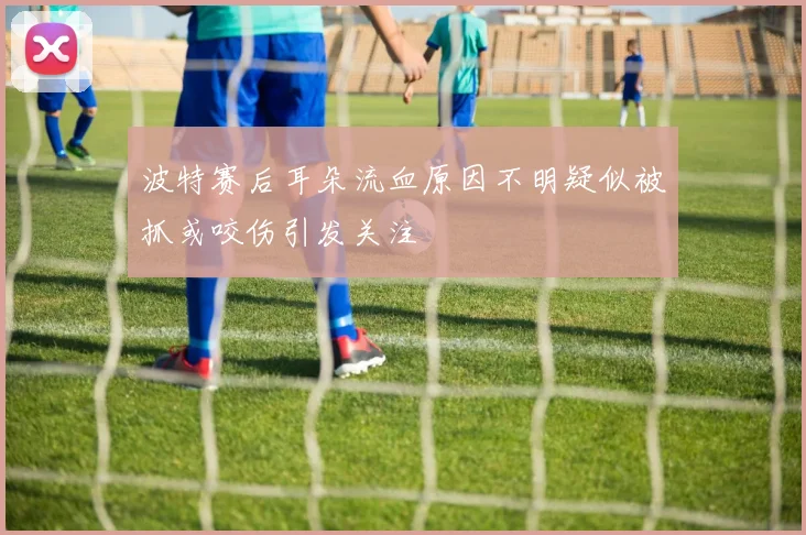 波特赛后耳朵流血原因不明疑似被抓或咬伤引发关注