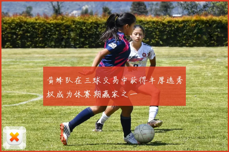 黄蜂队在三球交易中获得丰厚选秀权成为休赛期赢家之一