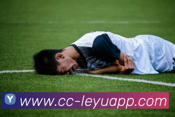 乐鱼体育全站App